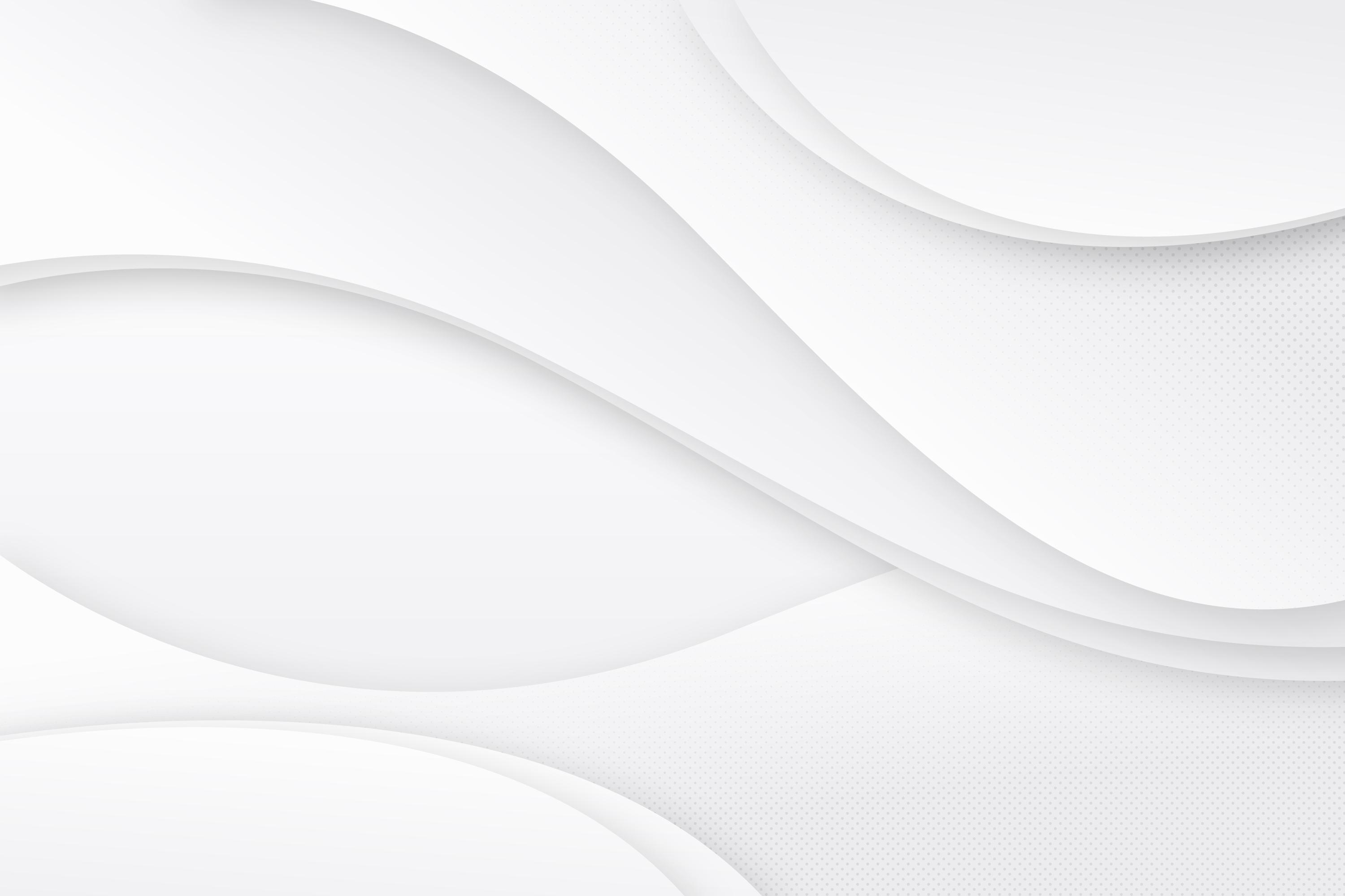 Fundo